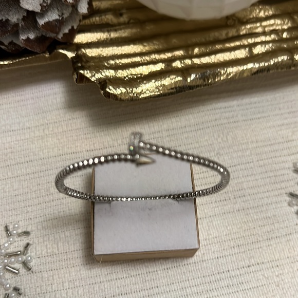 Screw Roped Detail Bangle 14k Silver Plated - Picture 2 of 11